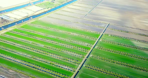 Vegetable Beds Surrounded By Long Narrow Irrigation Canals