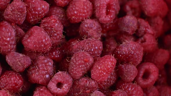 Beautiful Ripe Red Raspberries Closeup