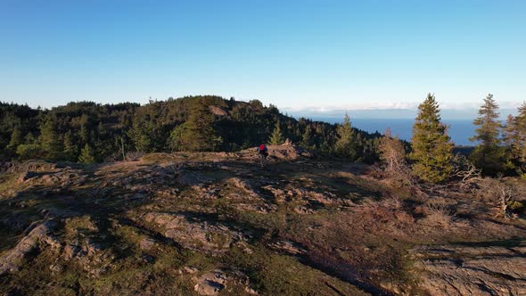 Male Hiker on the Summit on Vancouver Island, Canada, Lone Tree Hill