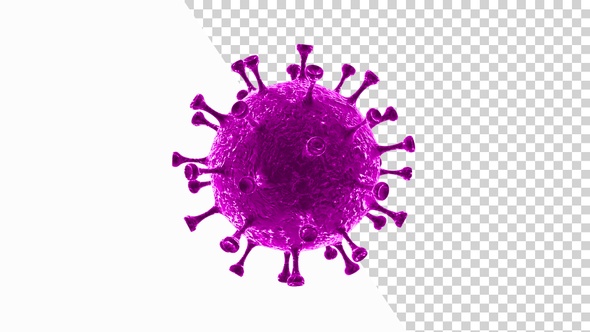 Corona Virus Visualization Covid 19 V5