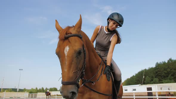 Female Jockey Horseback Caresses Brown Horse Rider Stroking and Hugging Horse