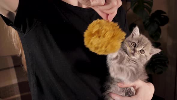 Kitten Playing In Woman's Arms