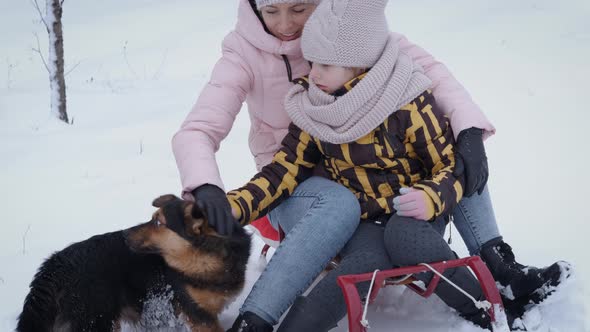 Having fun with dog in winter park.