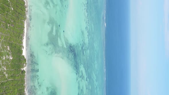 Vertical Video of the Ocean Near the Coast of Zanzibar Tanzania Aerial View