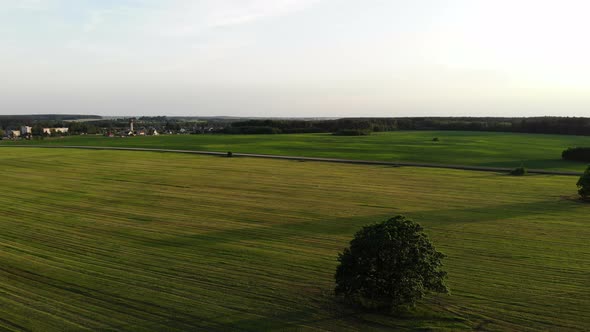 Flying Over Beautiful Country Side Landscape with Field and Trees, on Sunset, Aerial Shot, Drone