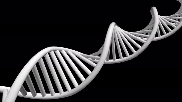 3D Rendered Loopable Animation Of Rotating Dna With Alpha Channel