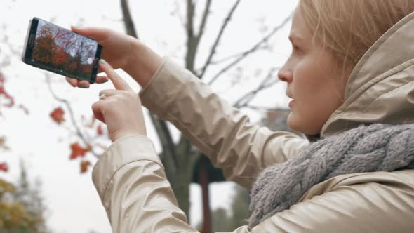 Woman taking picture of rowan tree during autumn walk with baby