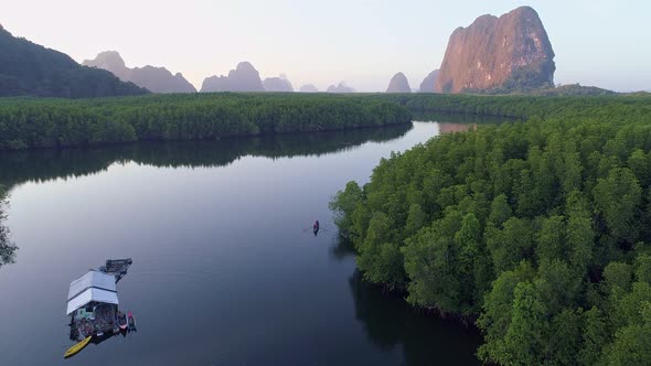 Beautiful sunset or sunrise. mangrove forest Aerial view of forest trees Rainforest ecosystem