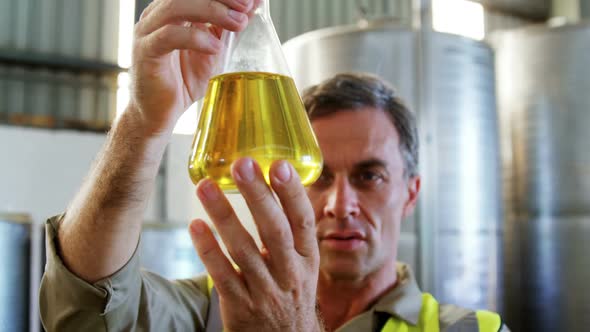 Worker examining olive oil