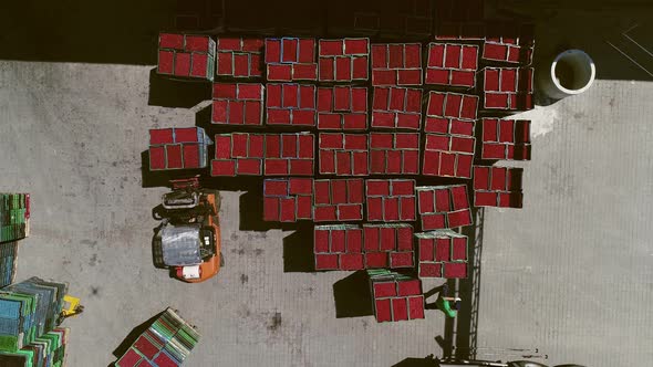 Transportation Of Fruit By Forklifts. Aerial View.