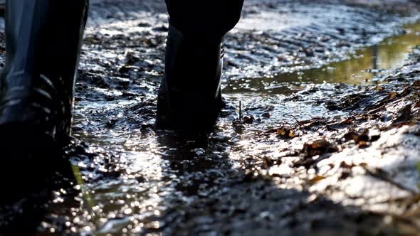 Closeup of a Man's Feet Walking in a Swampy Area in Rubber Boots