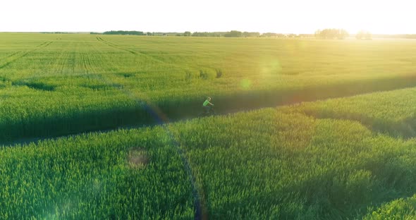 Aerial View on Young Boy, That Rides a Bicycle Thru a Wheat Grass Field on the Old Rural Road