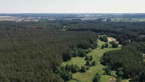 The Camera Flies Over a Picturesque Forest