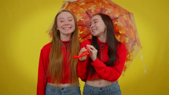 Beautiful Twin Sisters Laughing Looking at Camera Spinning Umbrella Posing at Yellow Background
