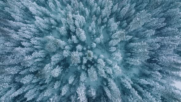 Beautiful Snow Covered Landscape in American Mountain Nature During Winter Day