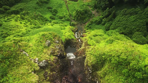 Vibrant Slopes Covered with Moss and Lush Vegetation