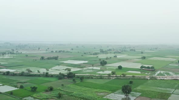 Aerial View of Rice Fields in Pikistan