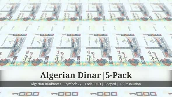 Algerian Dinar | Algeria Currency - 5 Pack | 4K Resolution | Looped