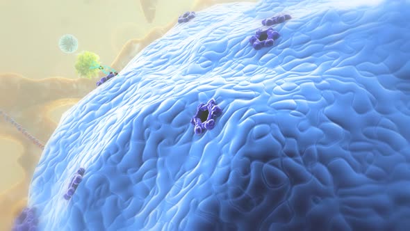 DNA and Cell 113.mov alt