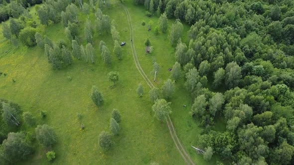 Green Forest From Above V1