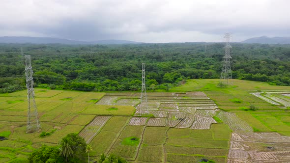 Electrical Transmission Line High-Voltage Tower in the Rice Field.