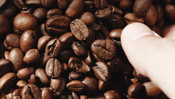 Hand is Touching Some Delicious Roasted Coffee Beans