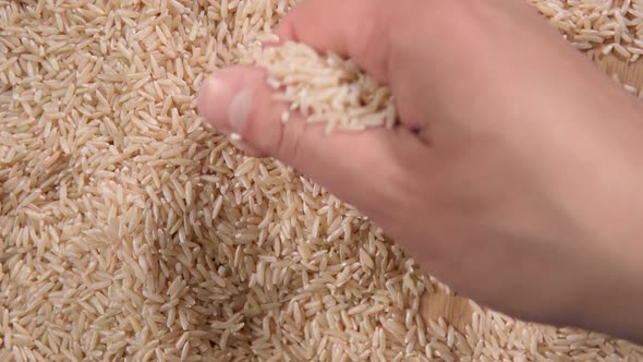 Dropping Brown Rice Close Up