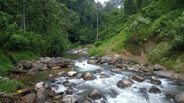 Aerial footage of river in forest