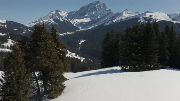 Cinematic aerial past pine trees and revealing a beautiful snow covered valley