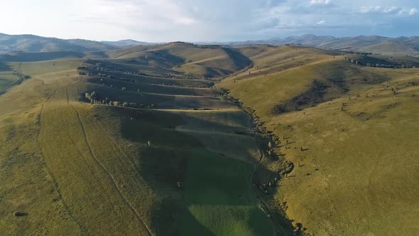 Green meadow hiils and forest. Aerial nature shot.