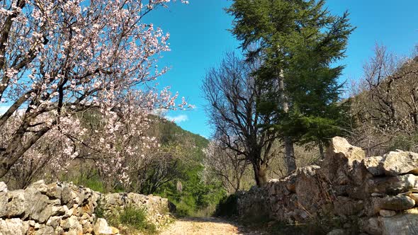 Mendal Spring Garden Aerial View 4 K