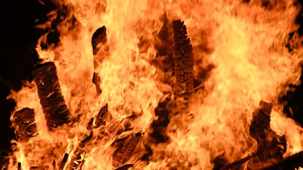 Big Bonfire Burns at Night in Slow Motion on a Black Background on Nature