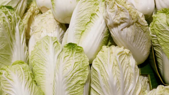Fresh Green Chinese Cabbage on Sale in the Vegetable Market