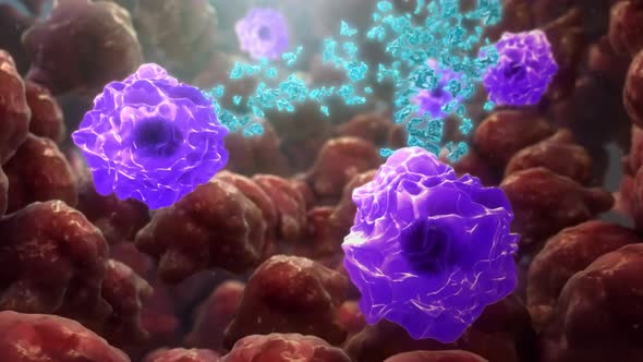 3D Medical Animation of antibodies that enhance cells