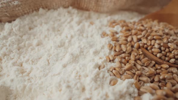 Wheat Grains and White Flour Closeup