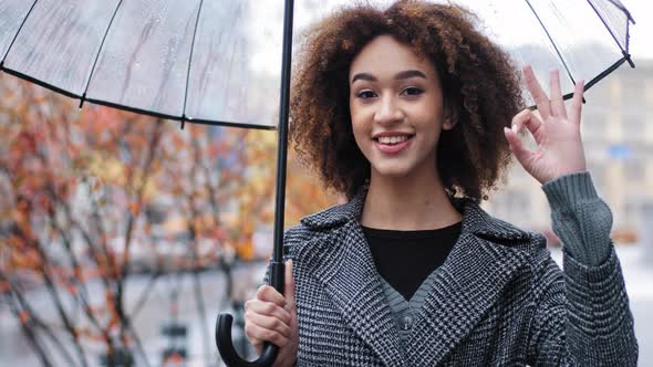 Beautiful Happy Successful Lady Curly African American Woman Girl with Transparent Umbrella Stands