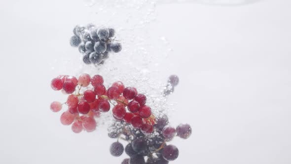 Fresh Red Grapes Fall in Water on Isolated White Background on Slow Motion