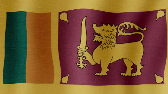 The National Flag of Sri Lanka alt