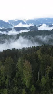 Carpathian Mountains