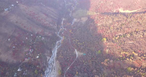 Autumn Mountain Forest