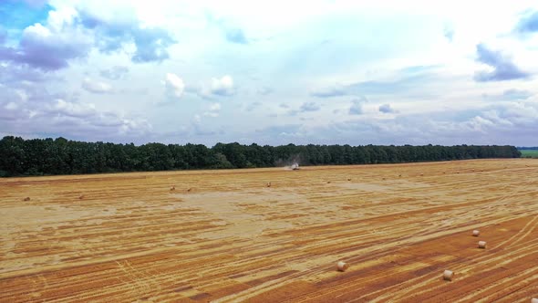 Aerial view on the golden field in a summer day.