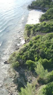 Tanzania  Coast of Zanzibar Island Covered with Thickets Slow Motion