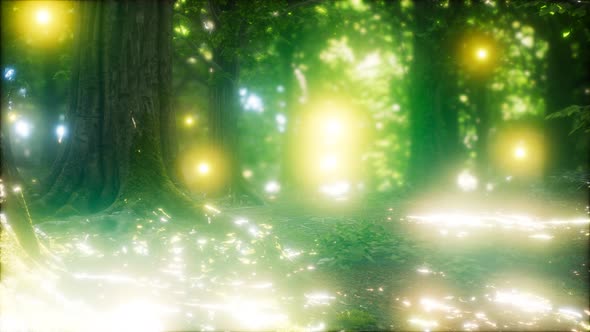 Firefly Flying in the Forest