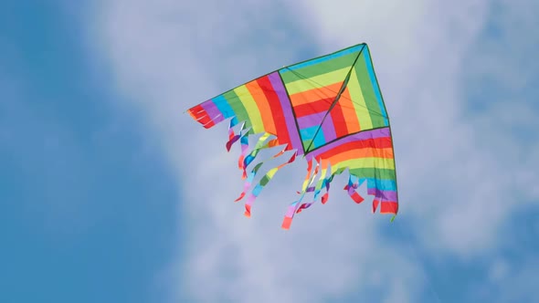 Multicolored Rainbow Lgbt Kite Air Flies on the Background