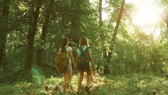 Tired Girls Travelers with Backpacks Go Through the Thicket in the Forest. Hiker Woman Walks