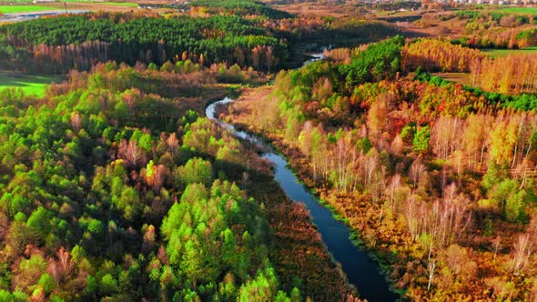 River and swamps in Poland. Aerial view wildlife in Poland