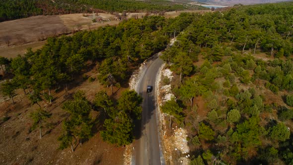 Aerial View Car On Road Forest