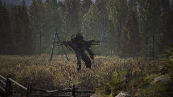 Terrible Scarecrow in Dark Cloak and Dirty Hat Stands Alone in Autumn Field