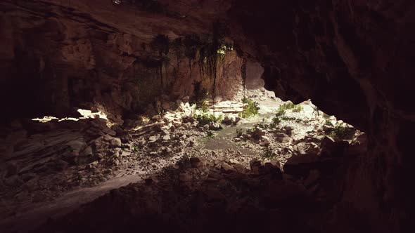 Cave in an Extinct Volcano Covered with Grass and Plants