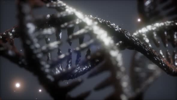 Double Helical Structure of Dna Strand Closeup Animation alt